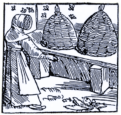 Imkerei Mellinarium